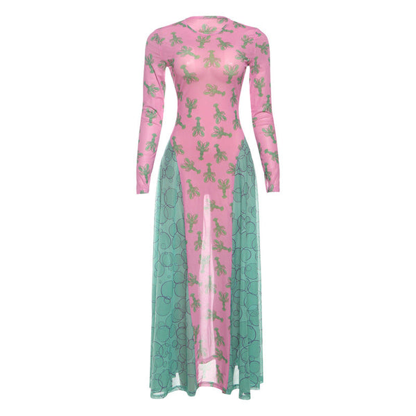 Long sleeve mesh crewneck print maxi dress