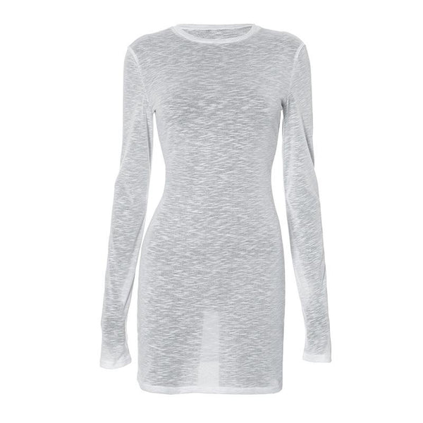 Long sleeve crewneck see through textured mini dress