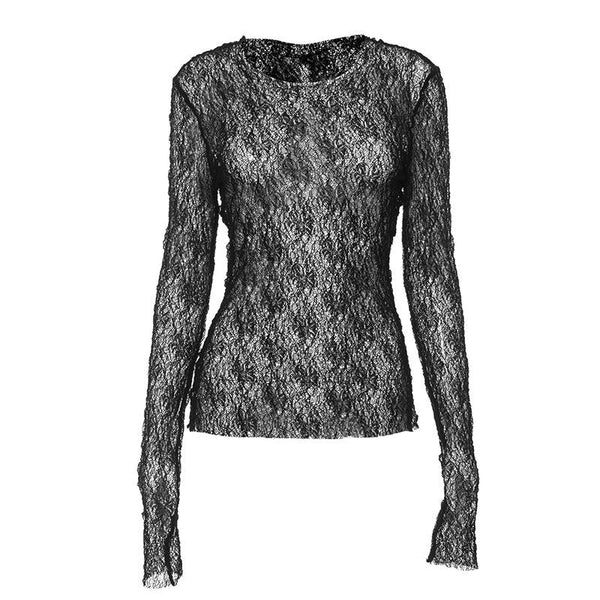 Long sleeve crewneck stitch lace see through top